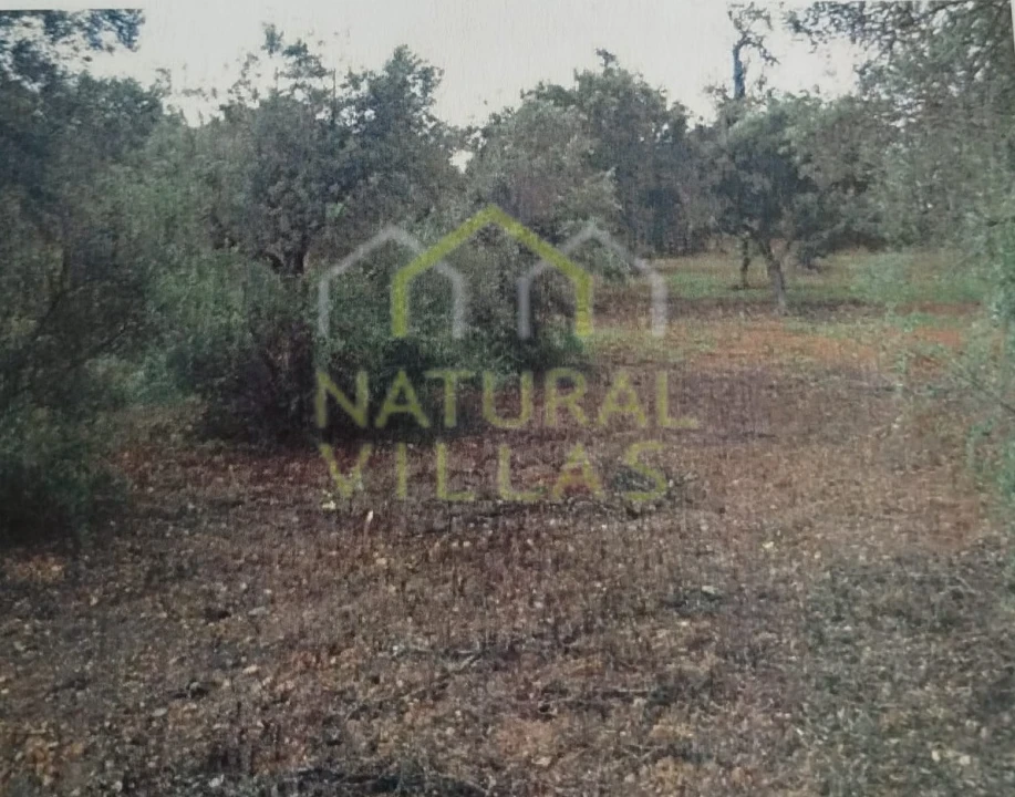 Terreno Agricola ou Rústico para Venda em Conceição e Estoi Foto 1