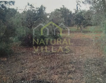 Terreno Agricola ou Rústico para Venda em Conceição e Estoi