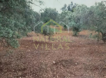 Terreno Agricola ou Rústico para Venda em Conceição e Estoi