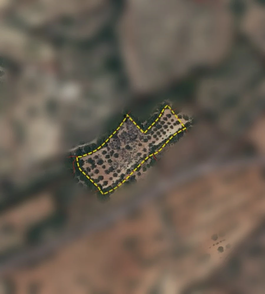 Terreno Agricola ou Rústico para Venda em Conceição e Estoi Planta 1