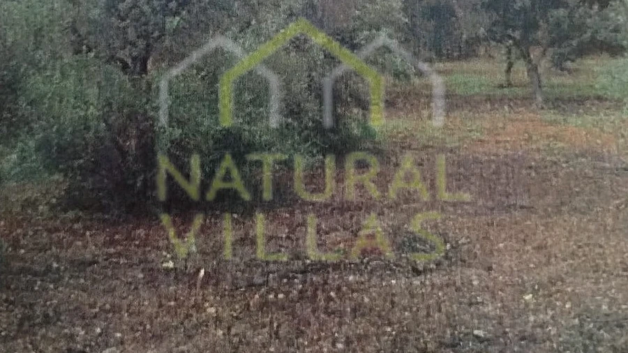 Terreno Agricola ou Rústico para Venda em Conceição e Estoi