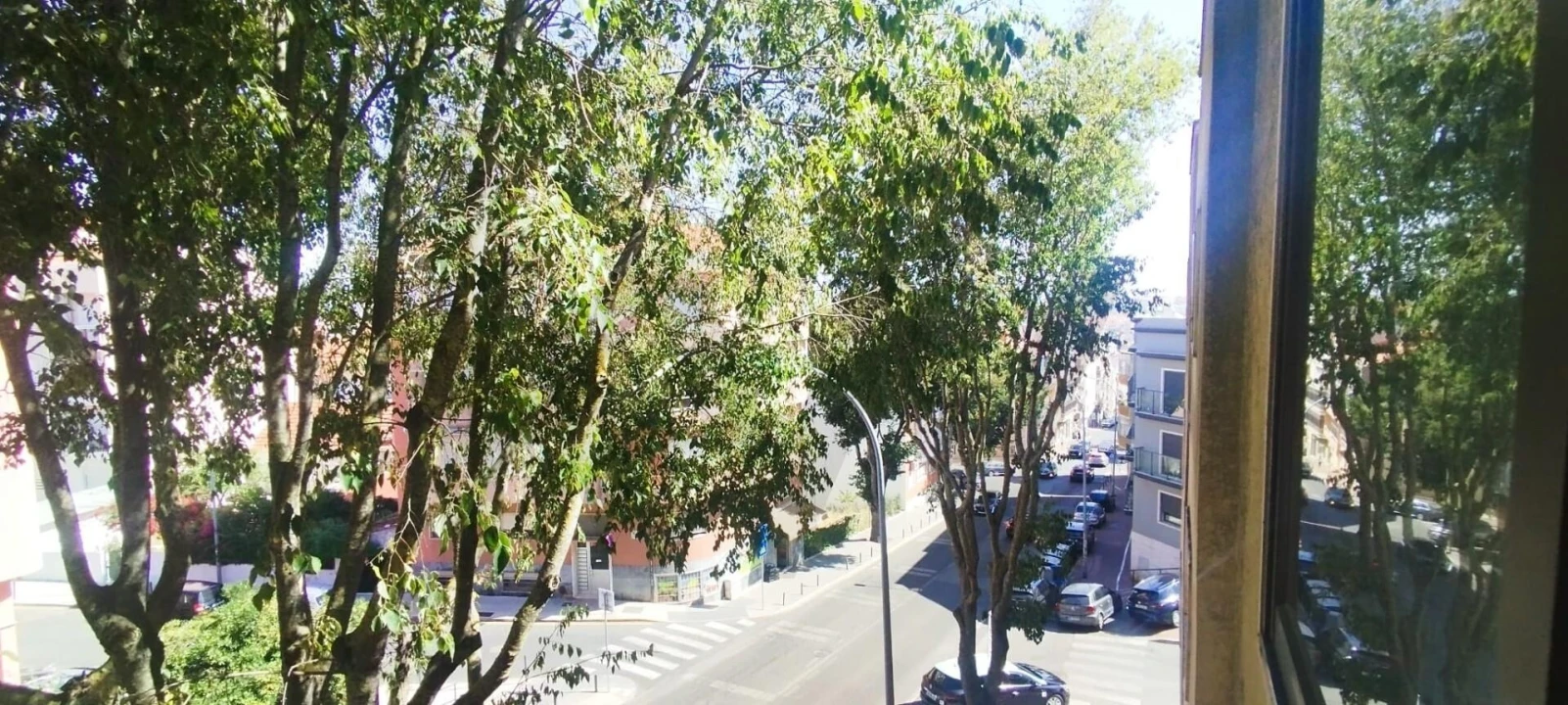 Apartamento T3 para Venda em Encosta do Sol Foto 50