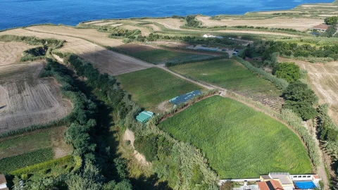 Terreno para Venda em Candelaria