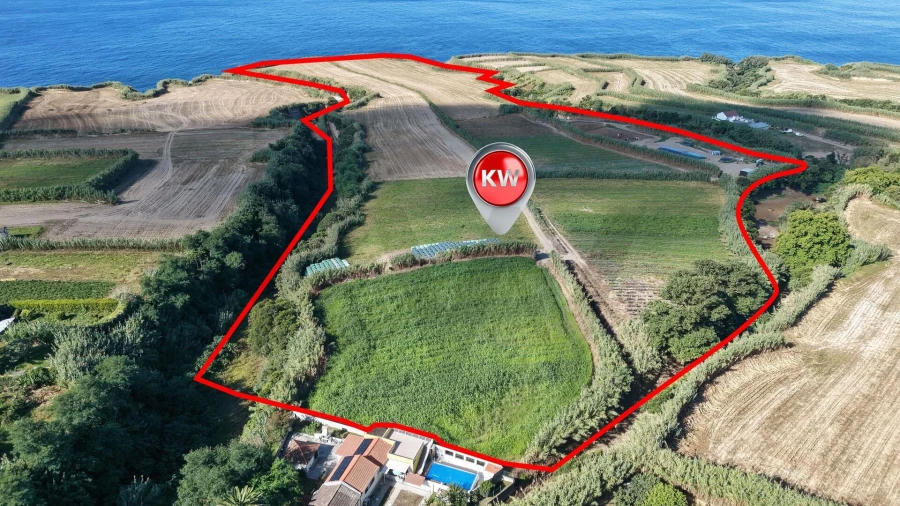 Terreno para Venda em Candelaria Foto 3