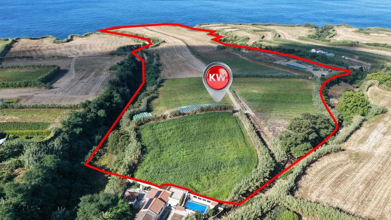 Terreno para Venda em Candelaria Foto 3