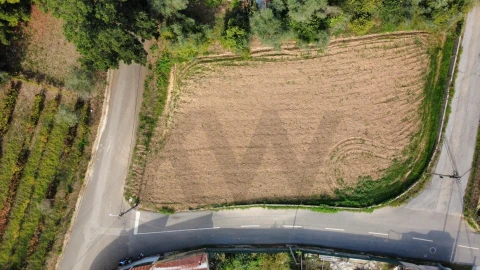Terreno para Venda em Águeda e Borralha