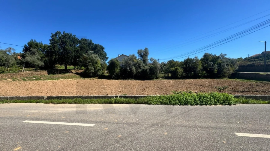 Terreno para Venda em Águeda e Borralha Foto 11