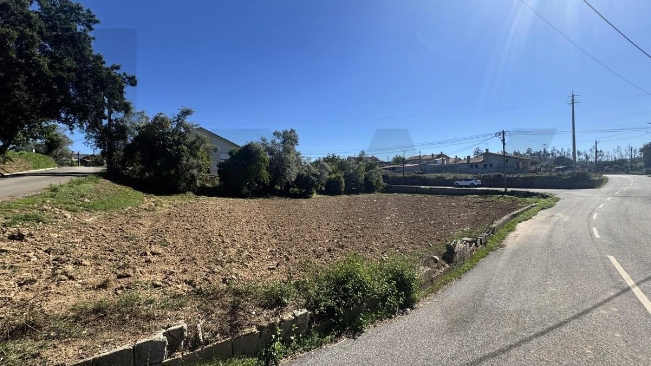 Terreno para Venda em Águeda e Borralha Foto 14