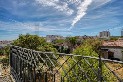Quinta T5 para Venda em Castelo Branco