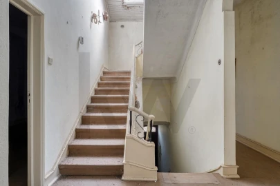 Quinta T5 para Venda em Castelo Branco
