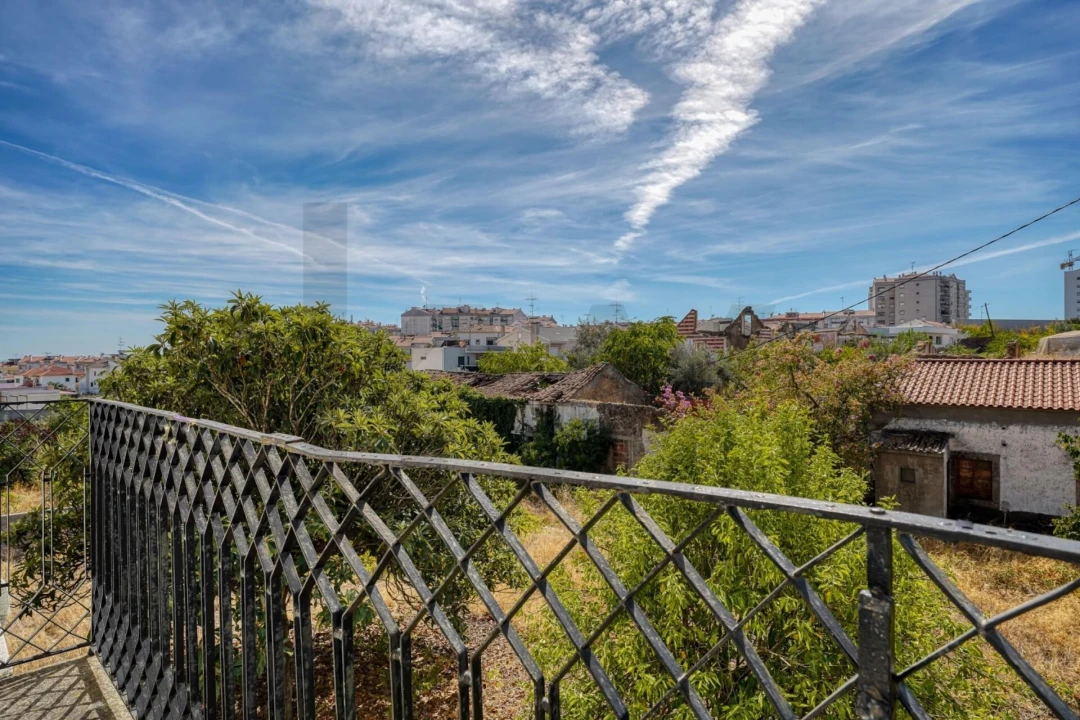 Quinta T5 para Venda em Castelo Branco Foto 23
