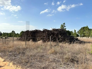 Terreno para Venda em Pinhal Novo