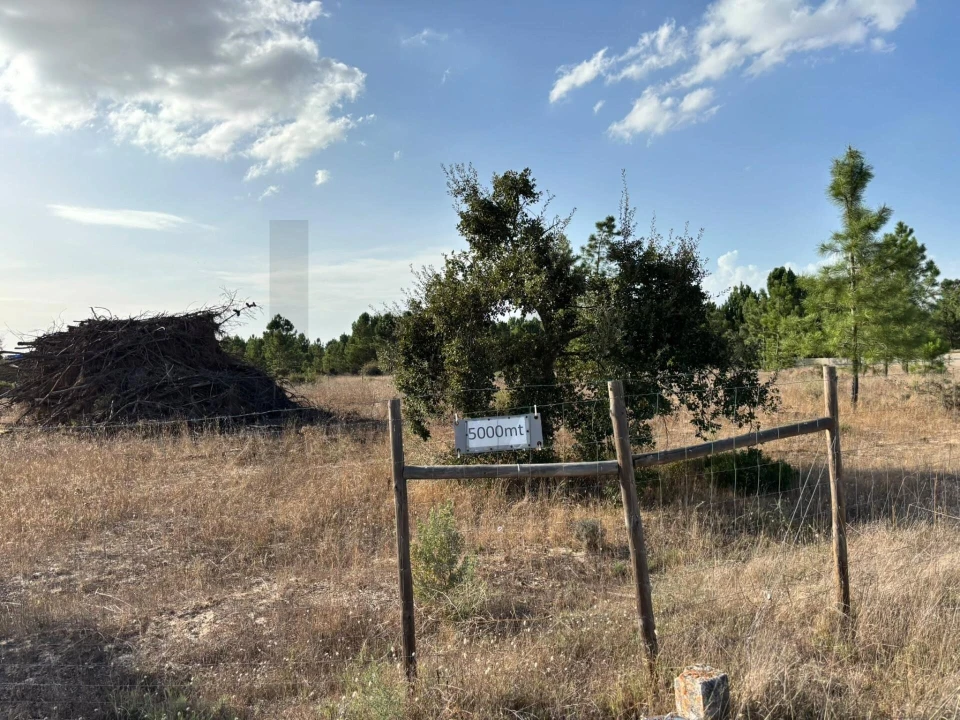 Terreno para Venda em Pinhal Novo Foto 6