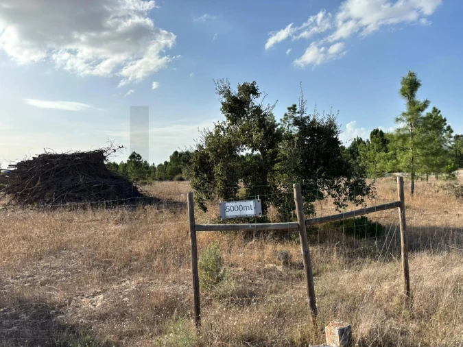 Terreno para Venda em Pinhal Novo Foto 6