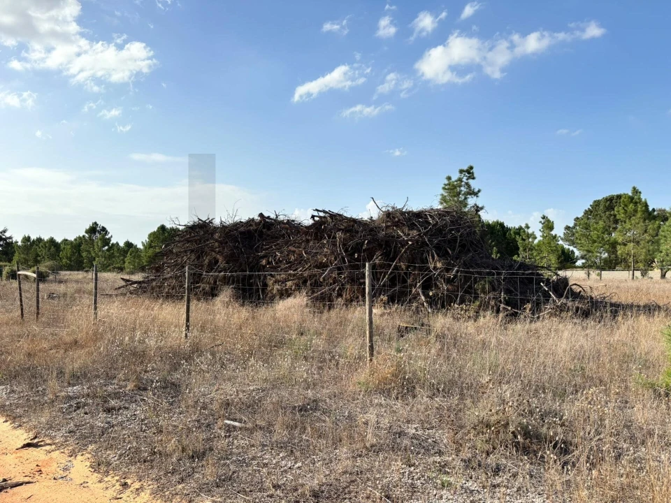 Terreno para Venda em Pinhal Novo Foto 1