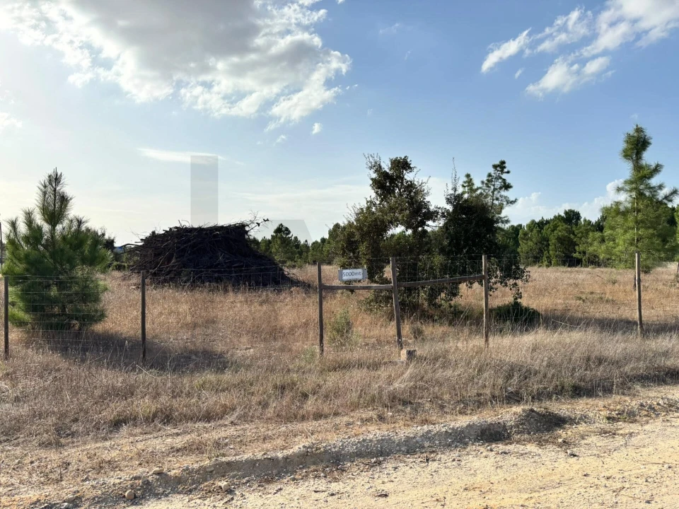 Terreno para Venda em Pinhal Novo Foto 3