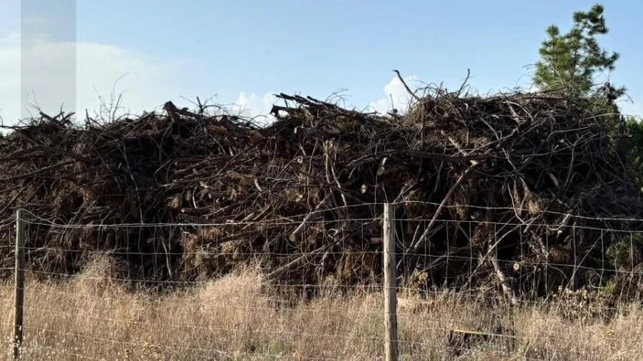 Terreno para Venda em Pinhal Novo