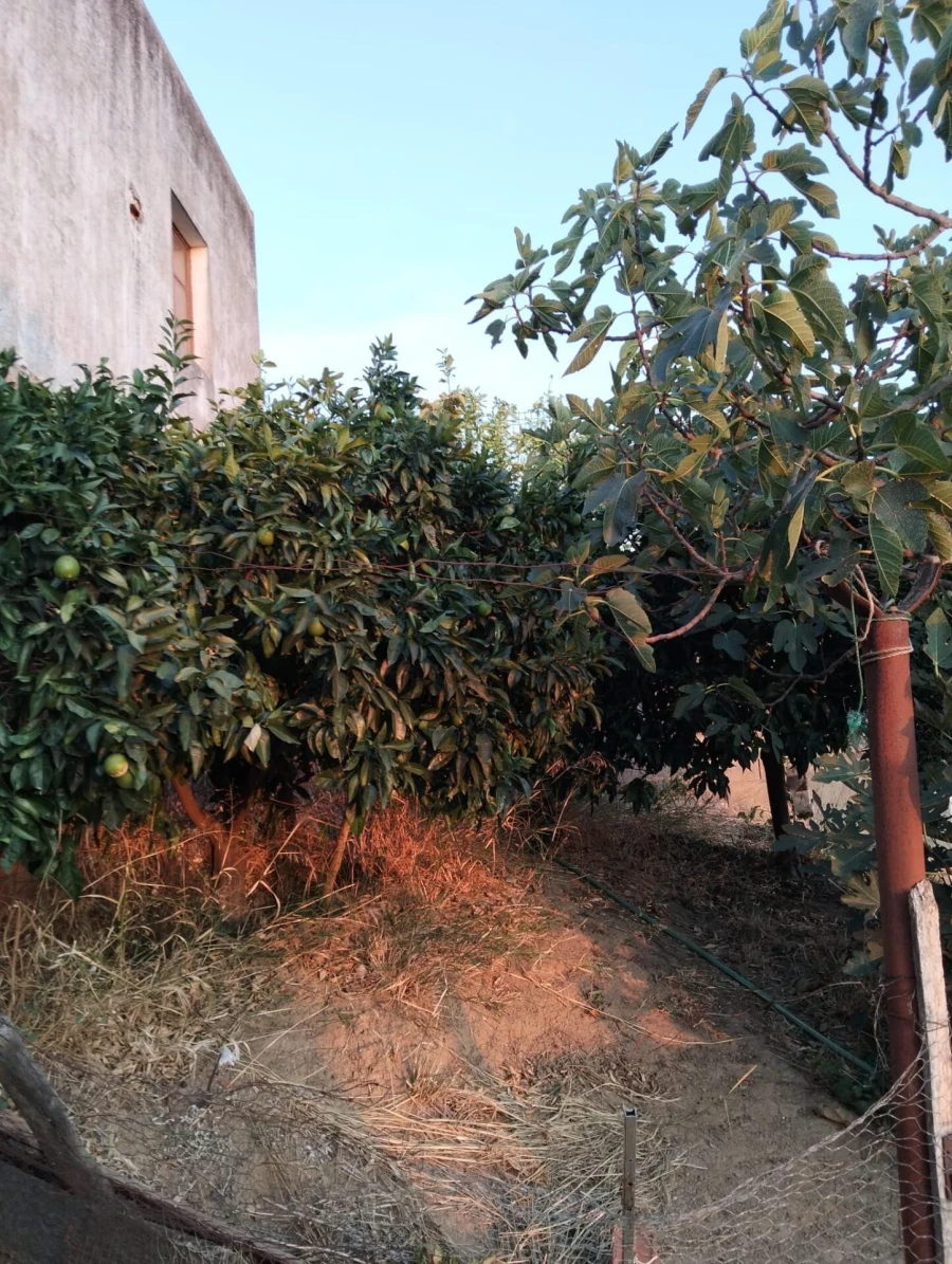 Moradia T3 para Venda em Selmes Foto 29