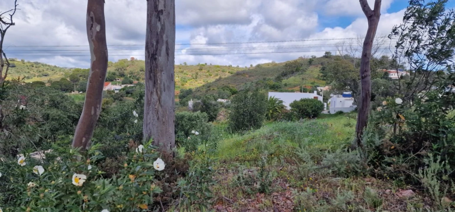 Moradia T2 para Venda em Santa Catarina da Fonte do Bispo Foto 32