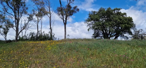 Moradia T2 para Venda em Santa Catarina da Fonte do Bispo