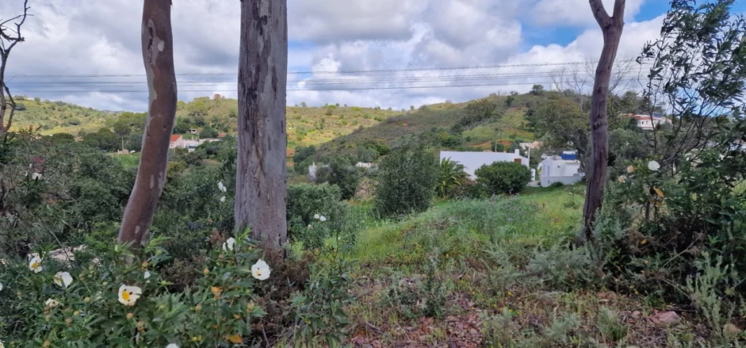 Moradia T2 para Venda em Santa Catarina da Fonte do Bispo Foto 32