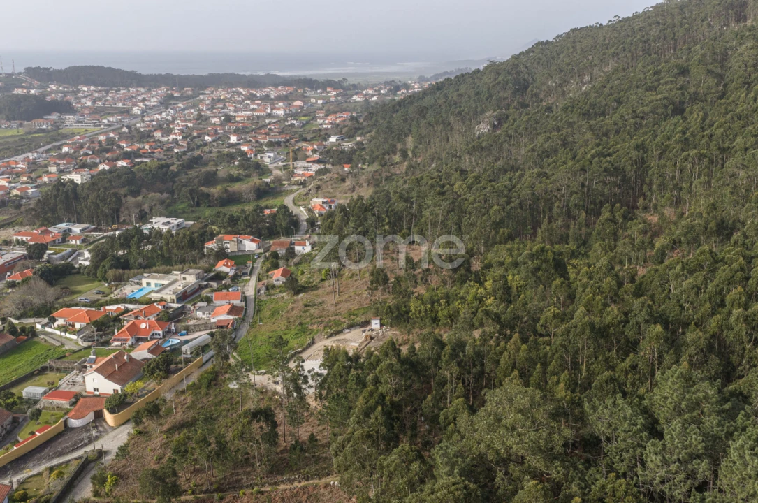 Terreno para Venda em Carreço Foto 12