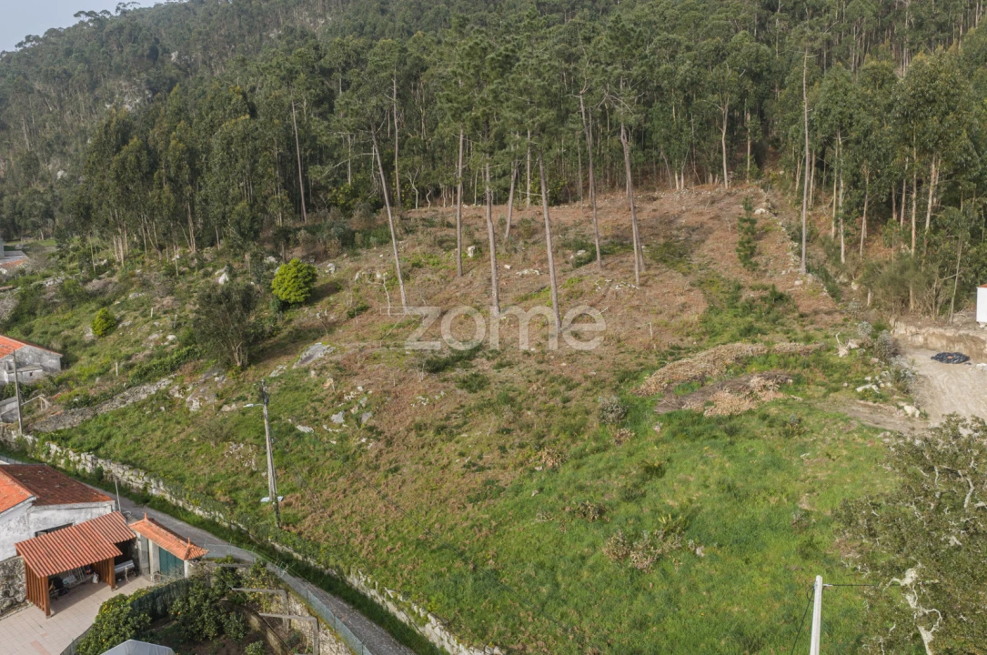 Terreno para Venda em Carreço Foto 16