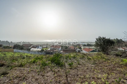Terreno para Venda em Carreço