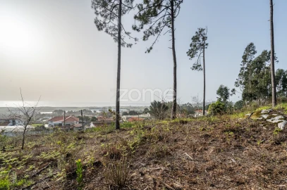 Terreno para Venda em Carreço