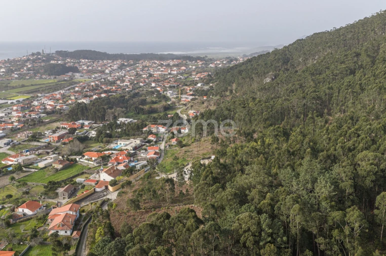 Terreno para Venda em Carreço Foto 13