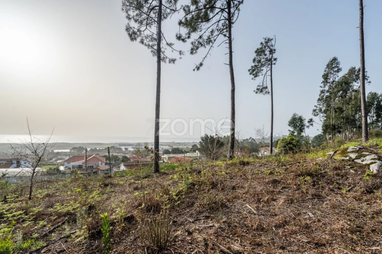 Terreno para Venda em Carreço Foto 8