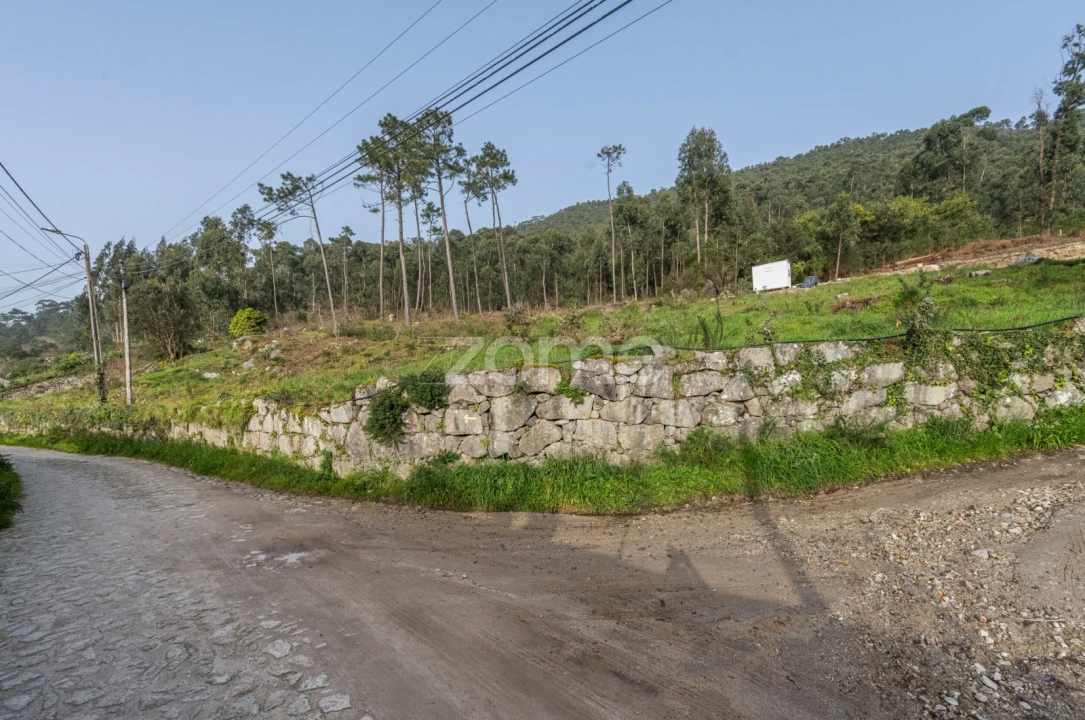 Terreno para Venda em Carreço Foto 9