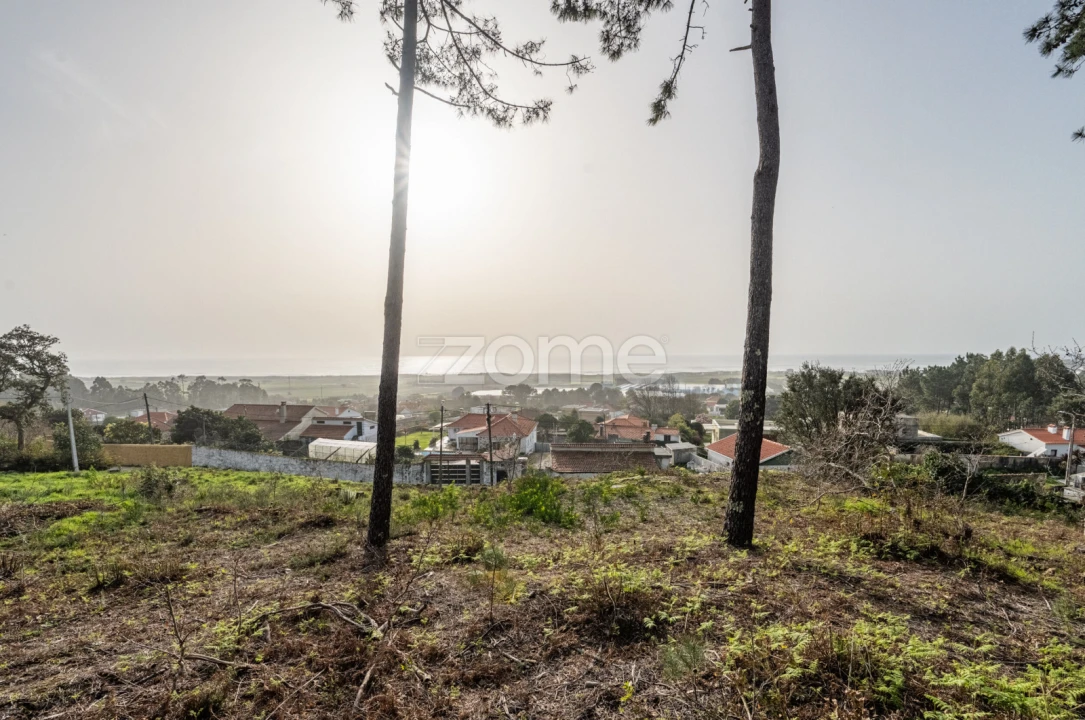Terreno para Venda em Carreço Foto 1