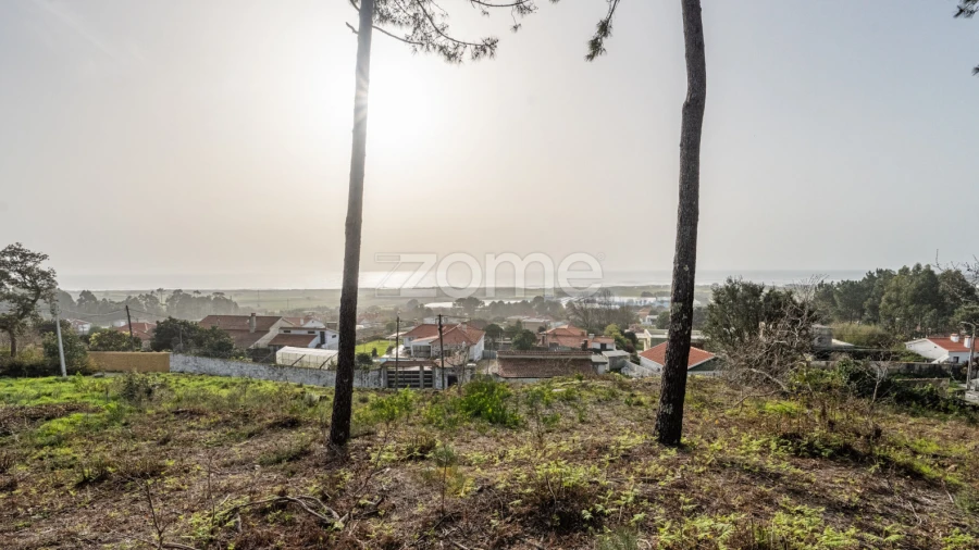 Terreno para Venda em Carreço