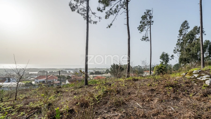 Terreno para Venda em Carreço