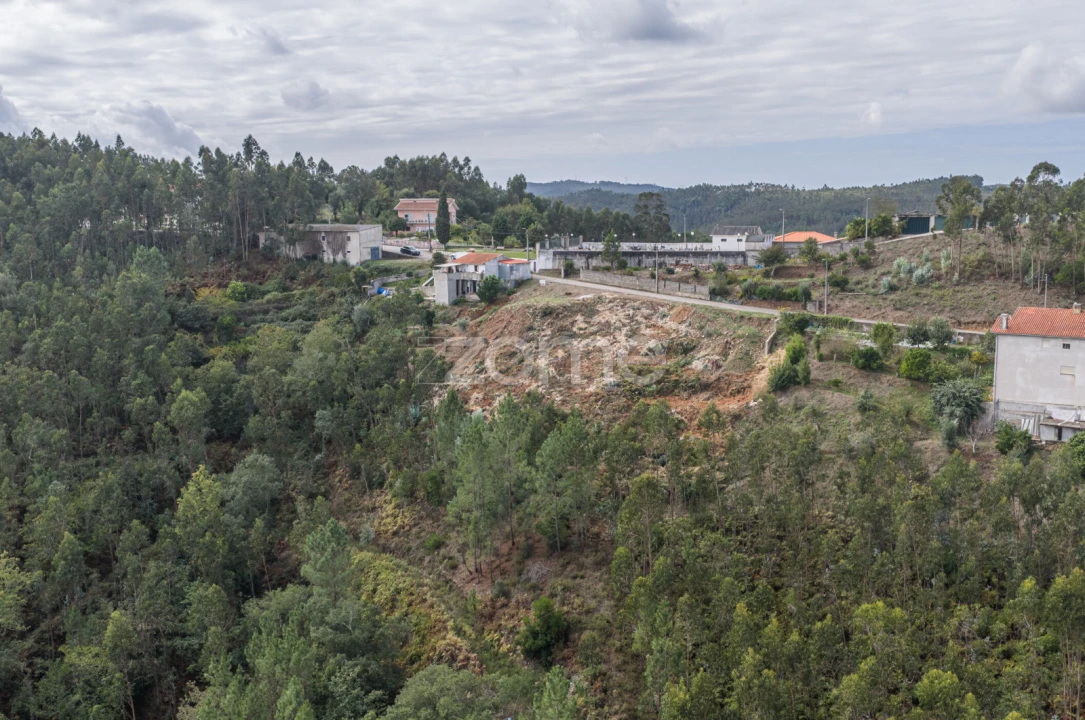 Terreno para Venda em Lomba Foto 7
