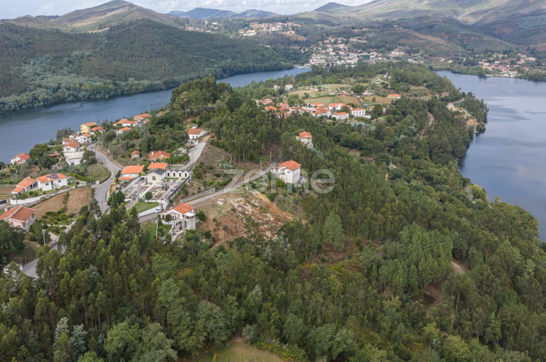 Terreno para Venda em Lomba Foto 8