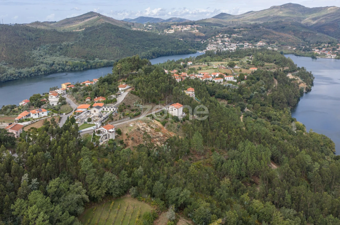 Terreno para Venda em Lomba Foto 11