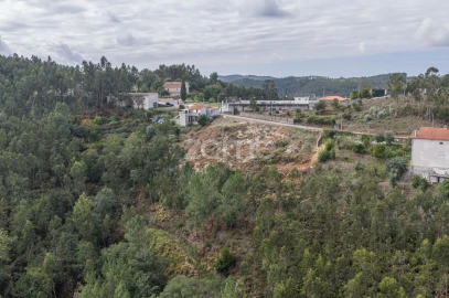 Terreno para Venda em Lomba