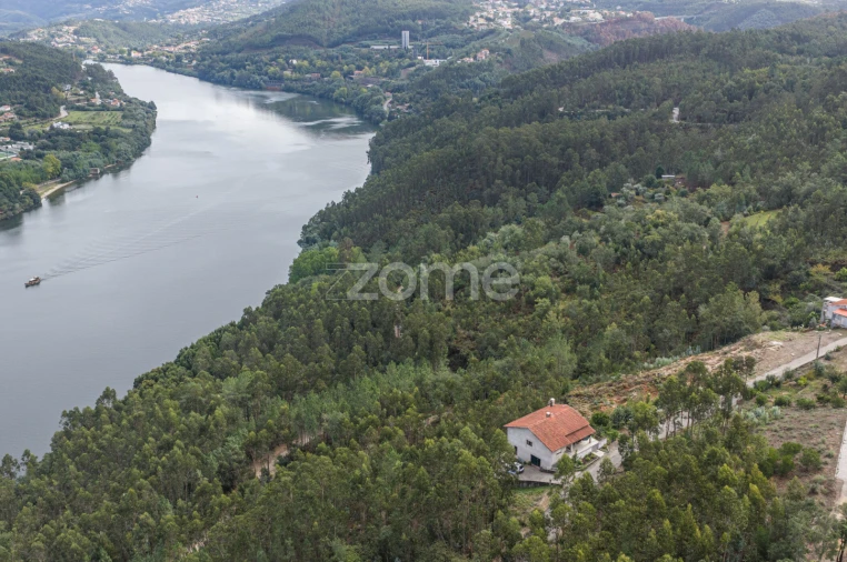 Terreno para Venda em Lomba Foto 16