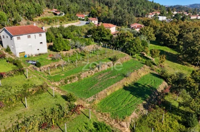 Terreno para Venda em Escariz (São Mamede) e Escariz (São Martinho)