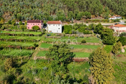 Terreno para Venda em Escariz (São Mamede) e Escariz (São Martinho)