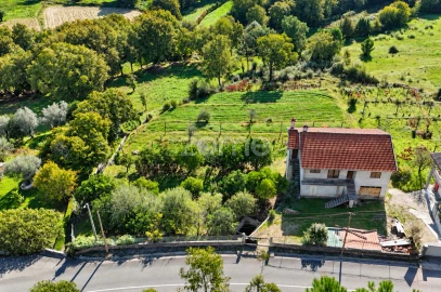 Terreno para Venda em Escariz (São Mamede) e Escariz (São Martinho)