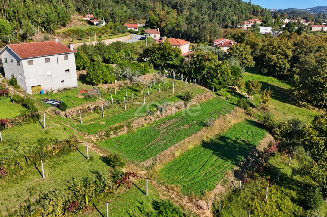 Terreno para Venda em Escariz (São Mamede) e Escariz (São Martinho) Foto 5