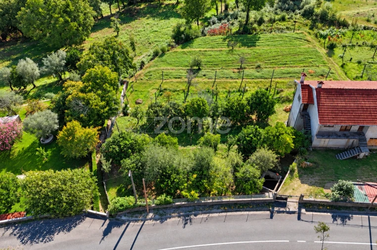 Terreno para Venda em Escariz (São Mamede) e Escariz (São Martinho) Foto 7