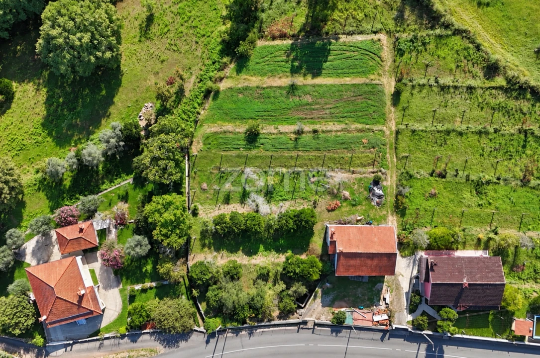 Terreno para Venda em Escariz (São Mamede) e Escariz (São Martinho) Foto 2