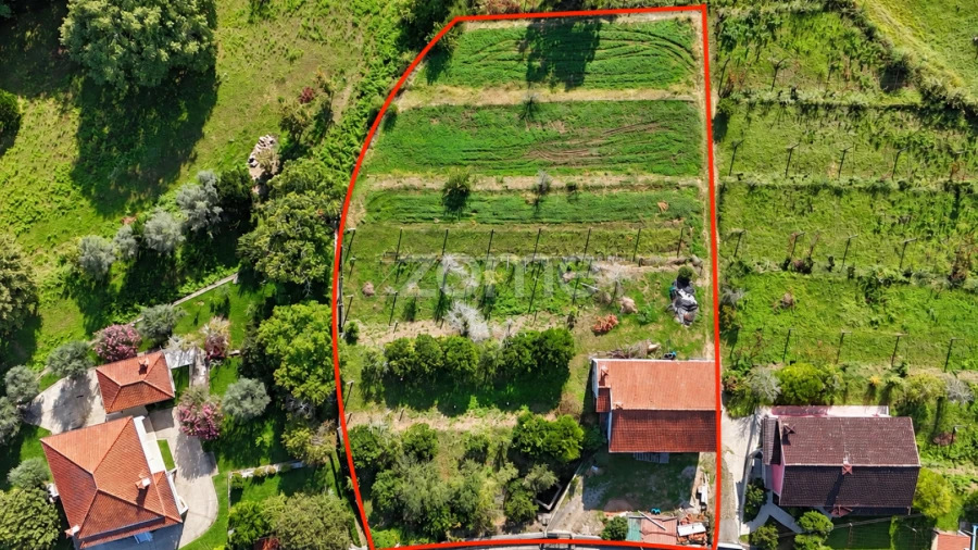 Terreno para Venda em Escariz (São Mamede) e Escariz (São Martinho)