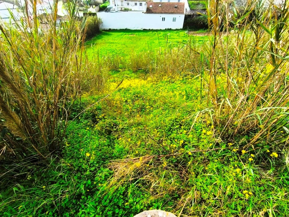 Terreno para Venda em Ericeira Foto 12