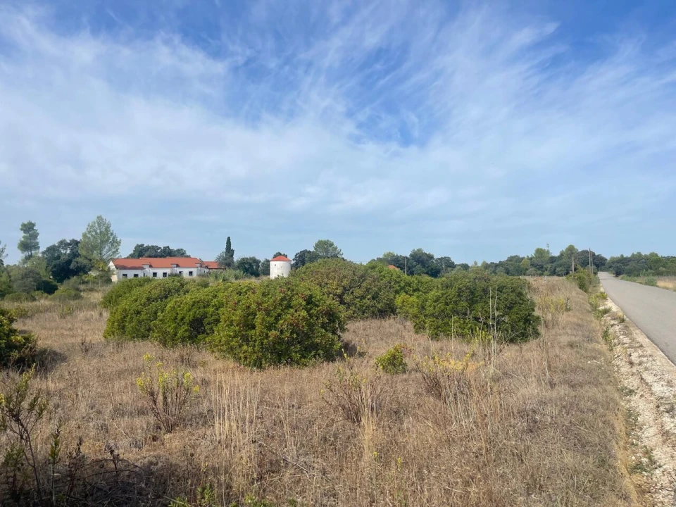 Terreno para Venda em Brogueira, Parceiros de Igreja e Alcorochel Foto 4