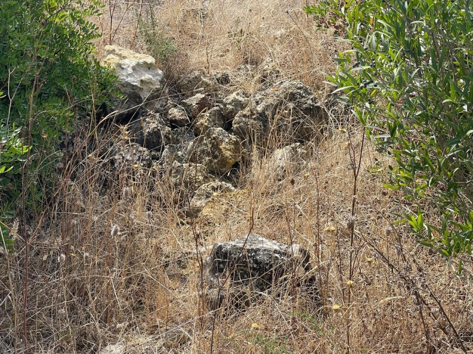 Terreno para Venda em Brogueira, Parceiros de Igreja e Alcorochel Foto 19